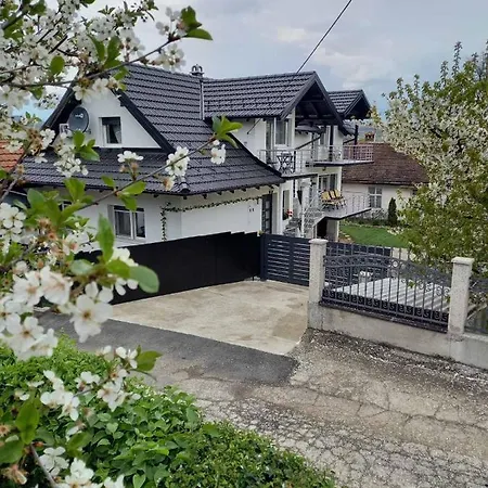 Apartment Biki Banja Koviljaca