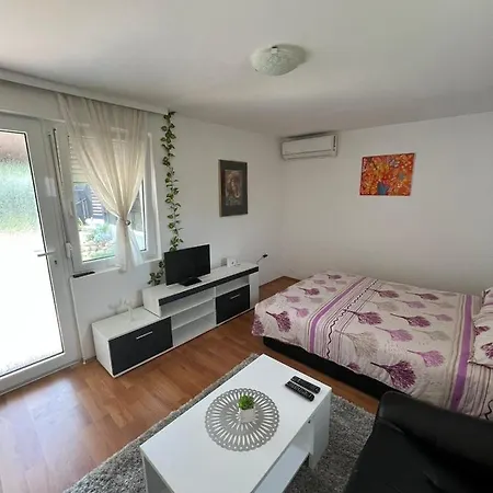 아파트 Biki Banja Koviljača