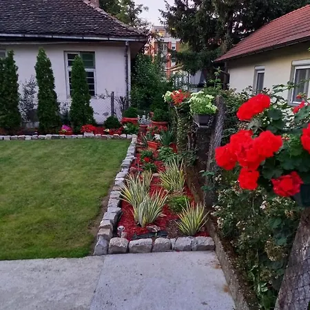 Biki Banja Koviljača