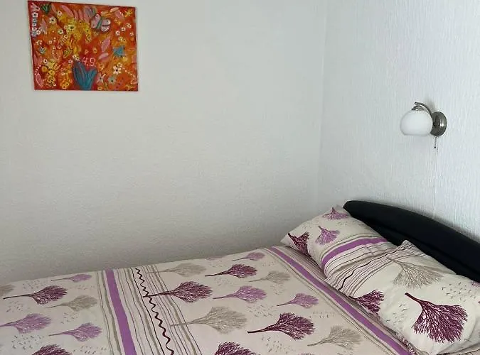 Biki Баня-Ковиляча