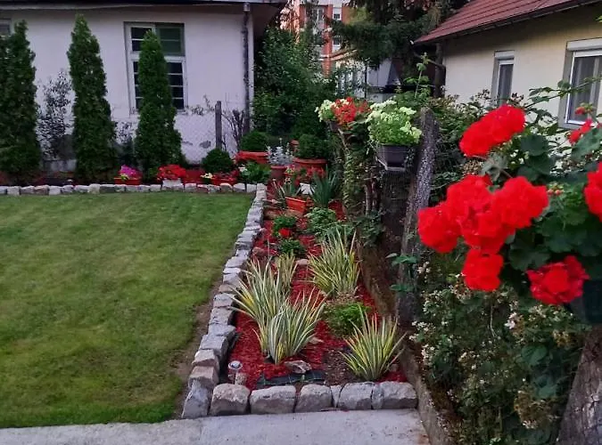 Biki Баня-Ковиляча